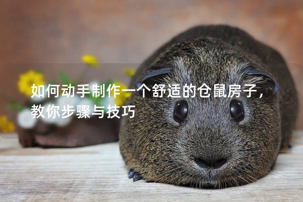 如何动手制作一个舒适的仓鼠房子，教你步骤与技巧