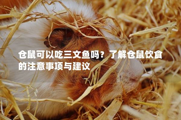仓鼠可以吃三文鱼吗？了解仓鼠饮食的注意事项与建议