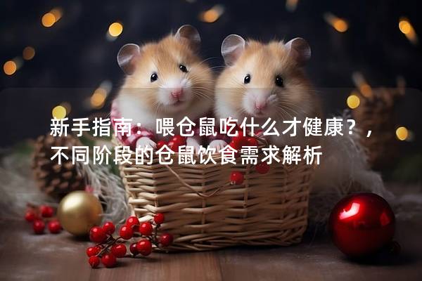 新手指南：喂仓鼠吃什么才健康？,不同阶段的仓鼠饮食需求解析