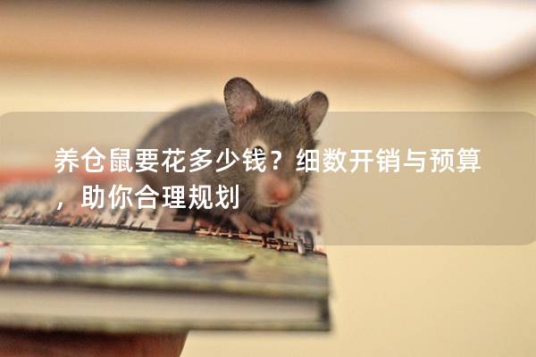 养仓鼠要花多少钱？细数开销与预算，助你合理规划