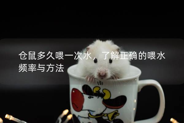 仓鼠多久喂一次水，了解正确的喂水频率与方法