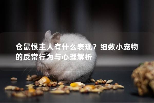 仓鼠恨主人有什么表现？细数小宠物的反常行为与心理解析