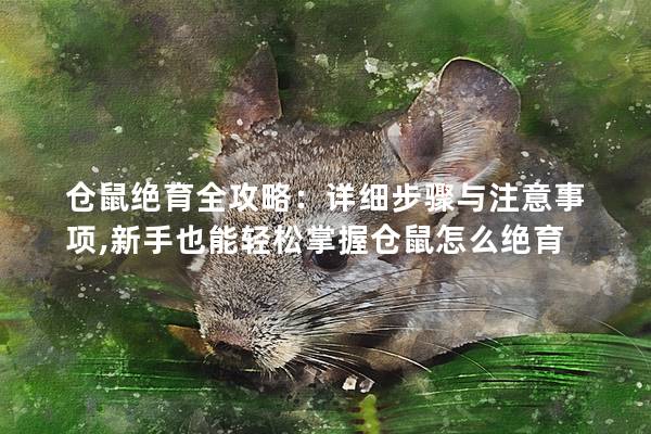 仓鼠绝育全攻略：详细步骤与注意事项,新手也能轻松掌握仓鼠怎么绝育