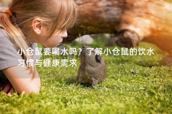 小仓鼠要喝水吗？了解小仓鼠的饮水习惯与健康需求