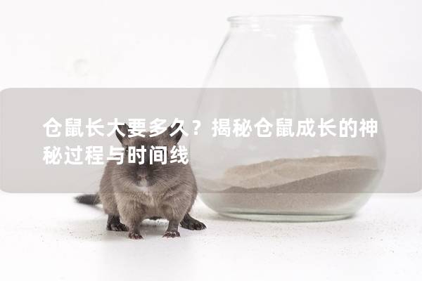 仓鼠长大要多久？揭秘仓鼠成长的神秘过程与时间线