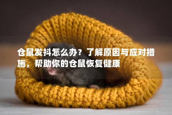 仓鼠发抖怎么办？了解原因与应对措施，帮助你的仓鼠恢复健康