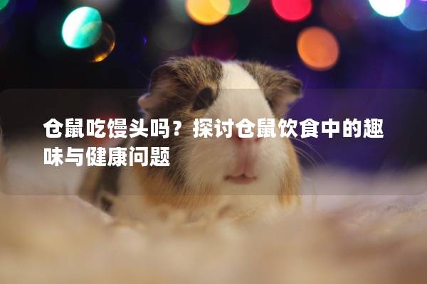 仓鼠吃馒头吗？探讨仓鼠饮食中的趣味与健康问题