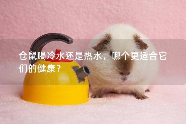 仓鼠喝冷水还是热水，哪个更适合它们的健康？