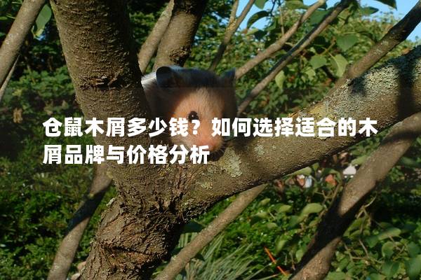 仓鼠木屑多少钱？如何选择适合的木屑品牌与价格分析