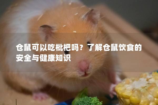 仓鼠可以吃枇杷吗？了解仓鼠饮食的安全与健康知识