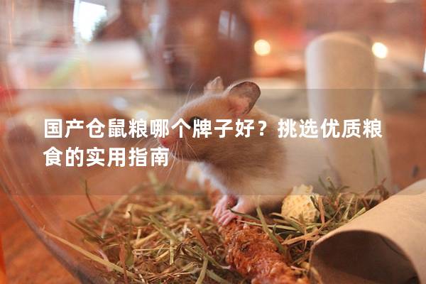 国产仓鼠粮哪个牌子好？挑选优质粮食的实用指南