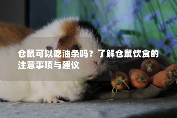 仓鼠可以吃油条吗？了解仓鼠饮食的注意事项与建议