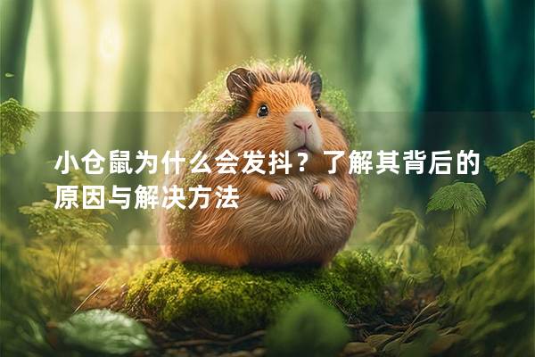 小仓鼠为什么会发抖？了解其背后的原因与解决方法