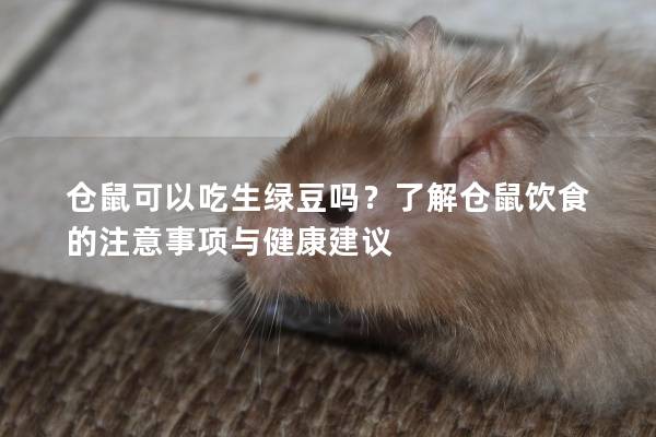仓鼠可以吃生绿豆吗？了解仓鼠饮食的注意事项与健康建议