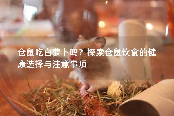 仓鼠吃白萝卜吗？探索仓鼠饮食的健康选择与注意事项