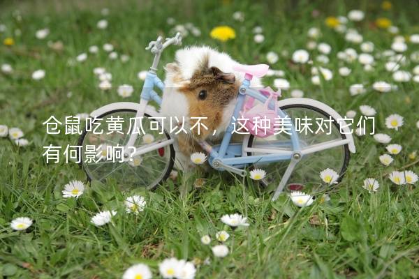 仓鼠吃黄瓜可以不，这种美味对它们有何影响？