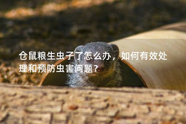 仓鼠粮生虫子了怎么办，如何有效处理和预防虫害问题？