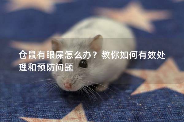 仓鼠有眼屎怎么办？教你如何有效处理和预防问题
