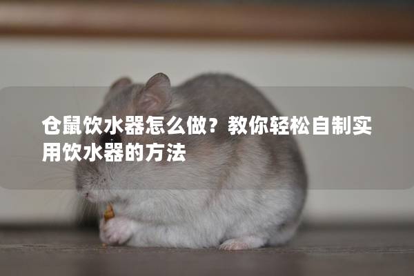 仓鼠饮水器怎么做？教你轻松自制实用饮水器的方法
