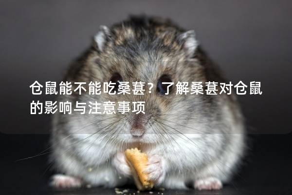 仓鼠能不能吃桑葚？了解桑葚对仓鼠的影响与注意事项