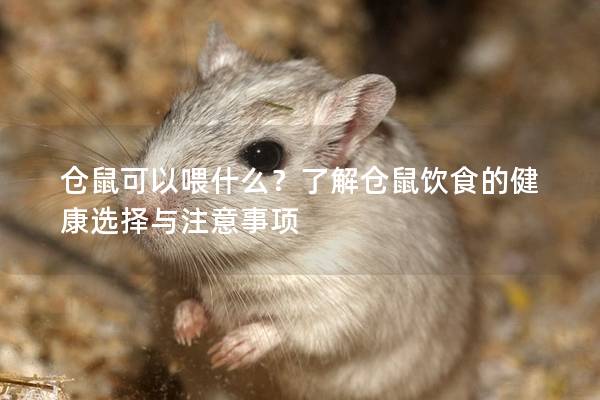 仓鼠可以喂什么？了解仓鼠饮食的健康选择与注意事项