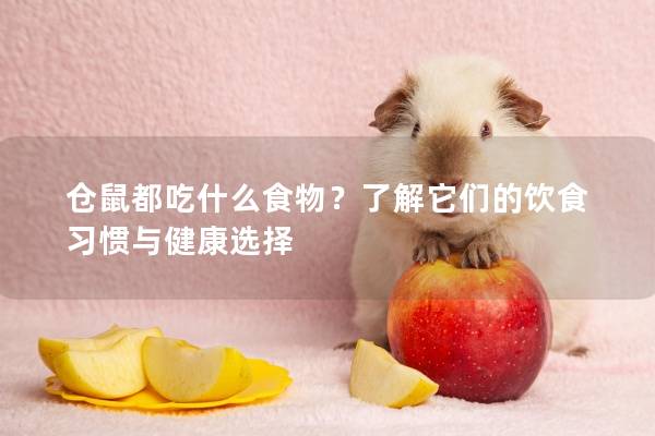 仓鼠都吃什么食物？了解它们的饮食习惯与健康选择