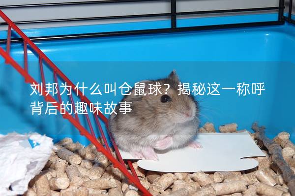 刘邦为什么叫仓鼠球？揭秘这一称呼背后的趣味故事