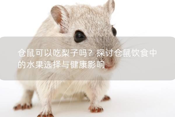 仓鼠可以吃梨子吗？探讨仓鼠饮食中的水果选择与健康影响