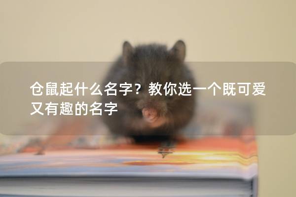 仓鼠起什么名字？教你选一个既可爱又有趣的名字