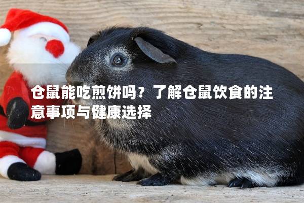 仓鼠能吃煎饼吗？了解仓鼠饮食的注意事项与健康选择