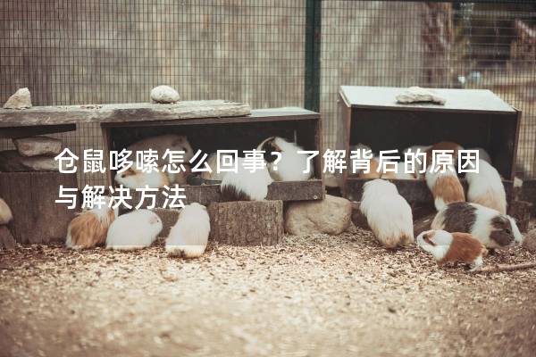 仓鼠哆嗦怎么回事？了解背后的原因与解决方法