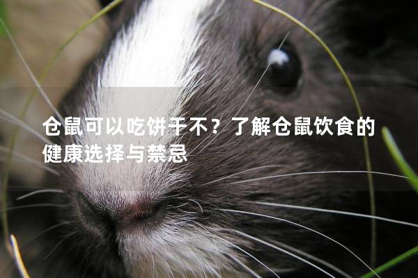 仓鼠可以吃饼干不？了解仓鼠饮食的健康选择与禁忌