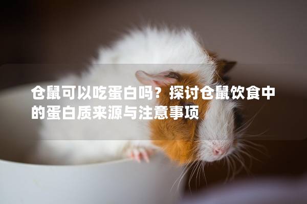 仓鼠可以吃蛋白吗？探讨仓鼠饮食中的蛋白质来源与注意事项