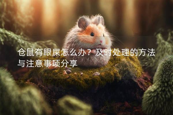 仓鼠有眼屎怎么办？及时处理的方法与注意事项分享