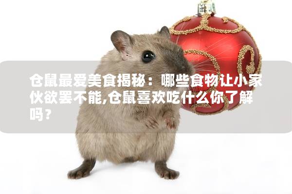 仓鼠最爱美食揭秘：哪些食物让小家伙欲罢不能,仓鼠喜欢吃什么你了解吗？