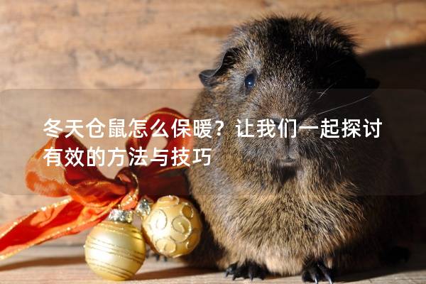 冬天仓鼠怎么保暖？让我们一起探讨有效的方法与技巧