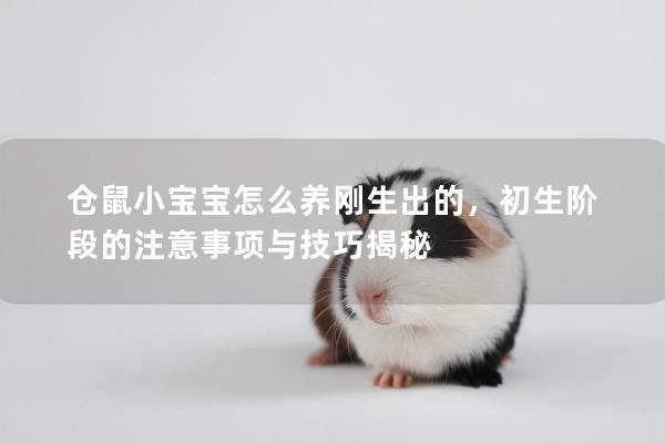 仓鼠小宝宝怎么养刚生出的，初生阶段的注意事项与技巧揭秘