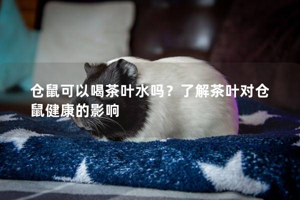 仓鼠可以喝茶叶水吗？了解茶叶对仓鼠健康的影响