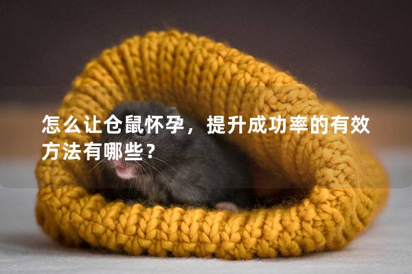 怎么让仓鼠怀孕，提升成功率的有效方法有哪些？