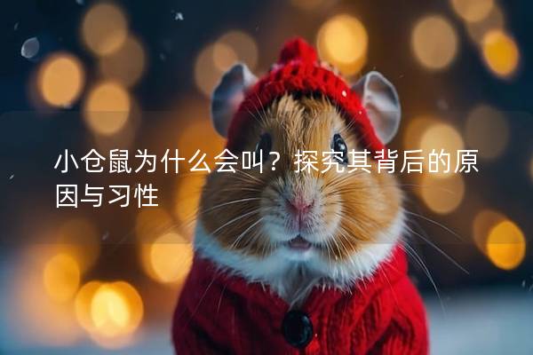 小仓鼠为什么会叫？探究其背后的原因与习性