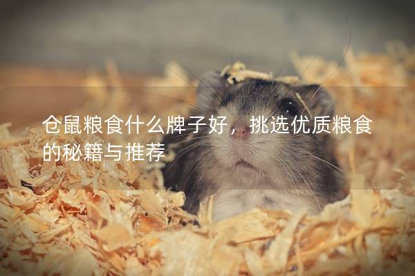仓鼠粮食什么牌子好，挑选优质粮食的秘籍与推荐