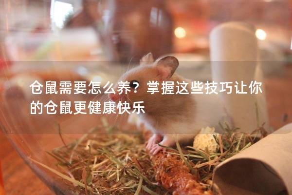 仓鼠需要怎么养？掌握这些技巧让你的仓鼠更健康快乐