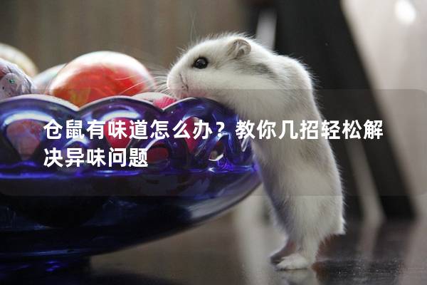 仓鼠有味道怎么办？教你几招轻松解决异味问题