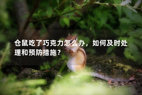 仓鼠吃了巧克力怎么办，如何及时处理和预防措施？