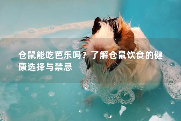 仓鼠能吃芭乐吗？了解仓鼠饮食的健康选择与禁忌
