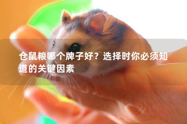 仓鼠粮哪个牌子好？选择时你必须知道的关键因素