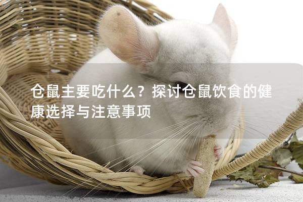 仓鼠主要吃什么？探讨仓鼠饮食的健康选择与注意事项