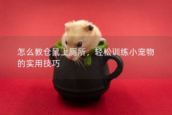 怎么教仓鼠上厕所，轻松训练小宠物的实用技巧