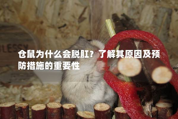 仓鼠为什么会脱肛？了解其原因及预防措施的重要性