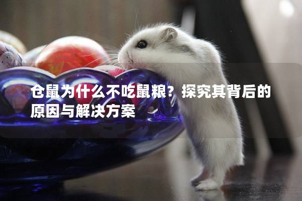 仓鼠为什么不吃鼠粮？探究其背后的原因与解决方案